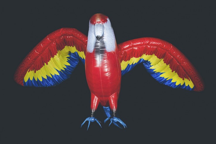 inflatable parrot okoru events