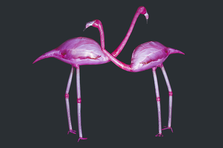 inflatable-flamingo-okoru-events